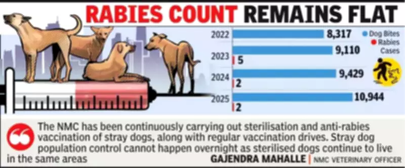 Nagpur Dog Bite Cases Surge 16% to Record High in 2025, Rabies Remains Low