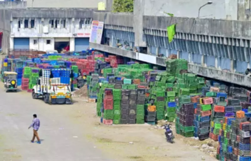 Nagpur Vegetable Strike Hits Household Budgets, E-Commerce Provides Relief