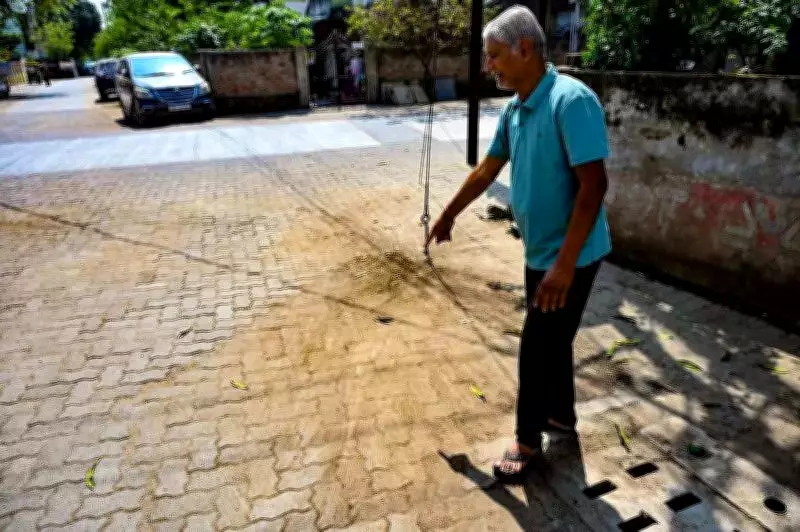 Nagpur Woman's Life Shattered by Stray Bull Attack, Family Struggles with Trauma and Costs