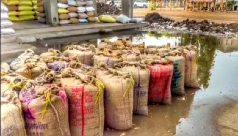 Nagpur's First Post-Monsoon Rain Breaks Dry Spell, Yellow Alert Issued for Vidarbha