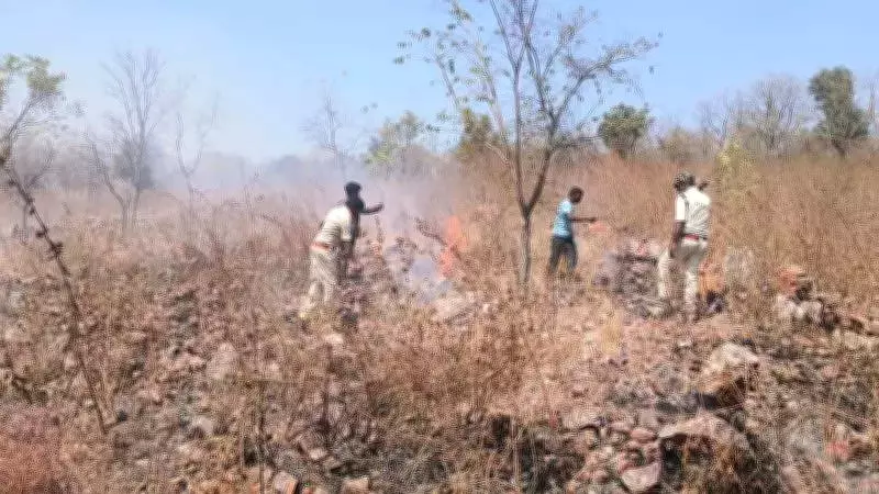 Nallamala Forest Fire Persists: Smoldering Smoke Continues After Week-Long Blaze