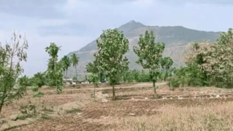 Namakkal Farmers Demand Action Against Stream Encroachment