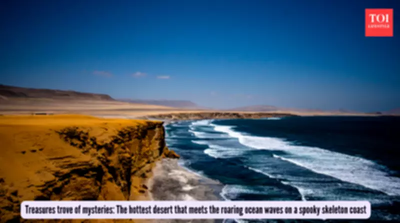 Namib Desert: Where Ocean Meets Sand in Earth's Most Surreal Landscape