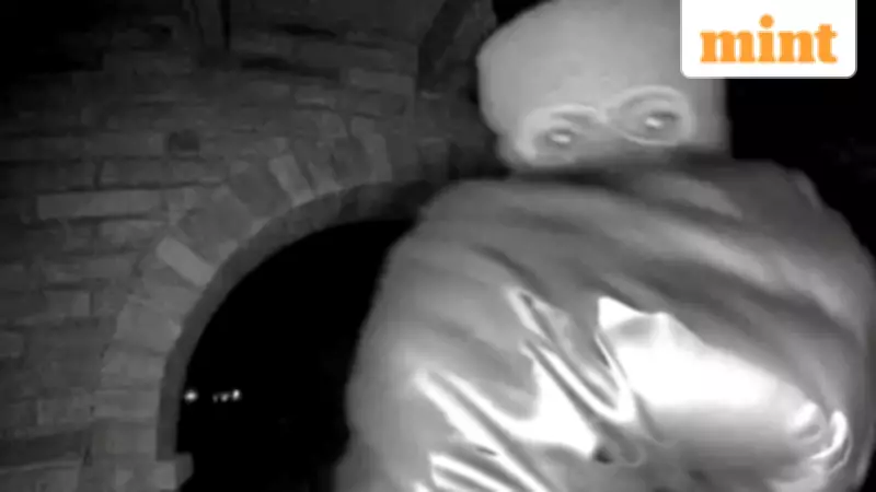 Nancy Guthrie Case: Mystery Sender Demands Bitcoin for Kidnapper Information