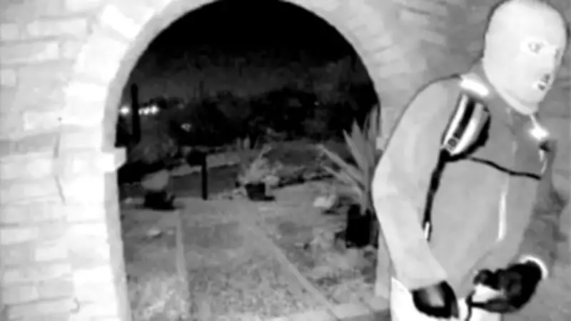 Nancy Guthrie Case: Person Detained, Ransom Demands, and Family's Desperate Pleas