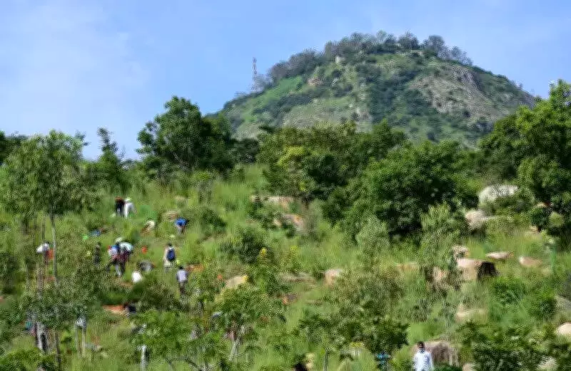 Nandi Hills Closed on Valentine's Day: Chikkaballapur Bans Entry for Safety
