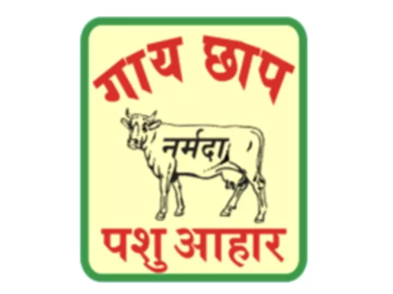 Narmada Agrobase Q3 FY26 Revenue Soars 52.86% to Rs 21.64 Crore