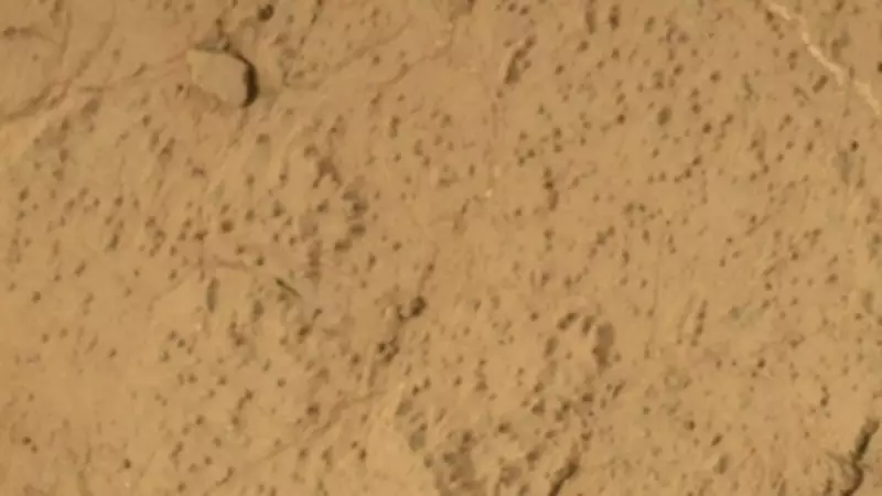 NASA's Curiosity Rover Finds Largest Organic Molecules on Mars in Ancient Mudstone