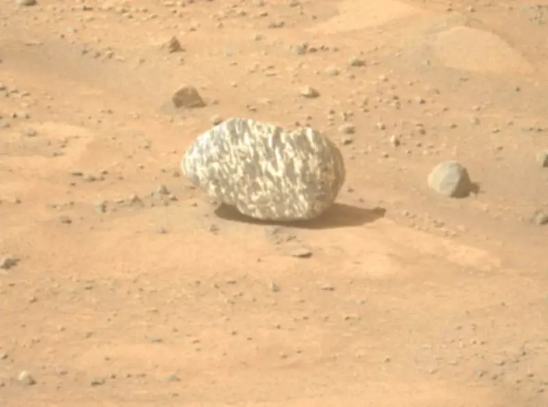 NASA's Perseverance Rover Discovers Striking Striped Rock on Mars