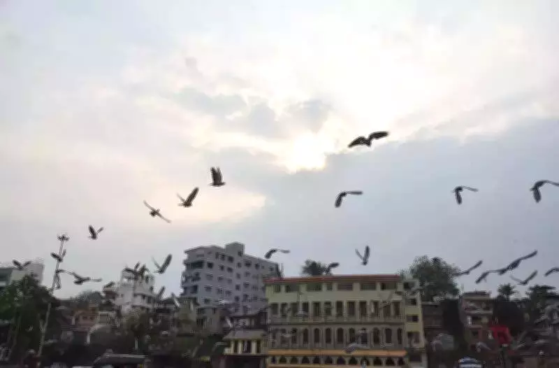 Nashik Weather: Temperature Fluctuations Bring Cool Nights and Warmer Days