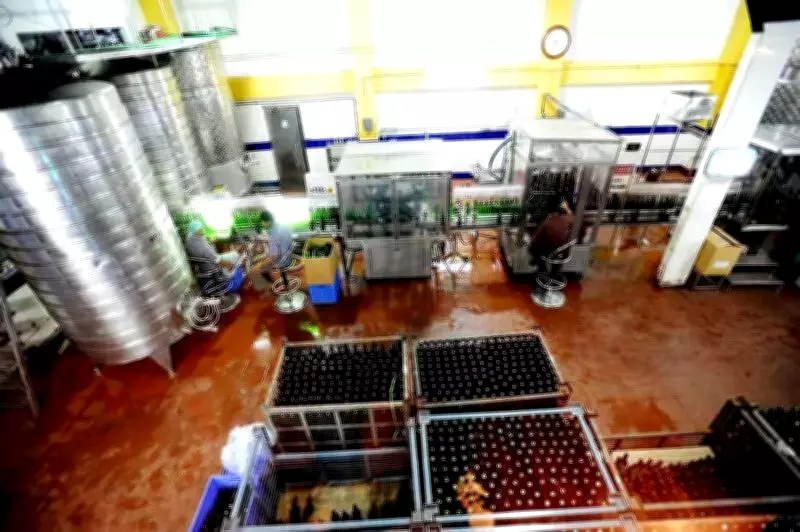 Nashik's Grape Wine Exports Surge 80% in Four Years, Marking Strong Post-Pandemic Recovery