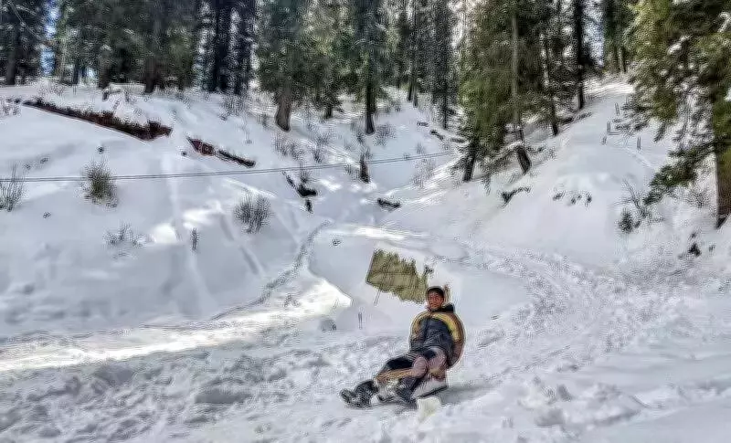 National Ski Snowboard Championship Kicks Off in Narkanda, Shimla