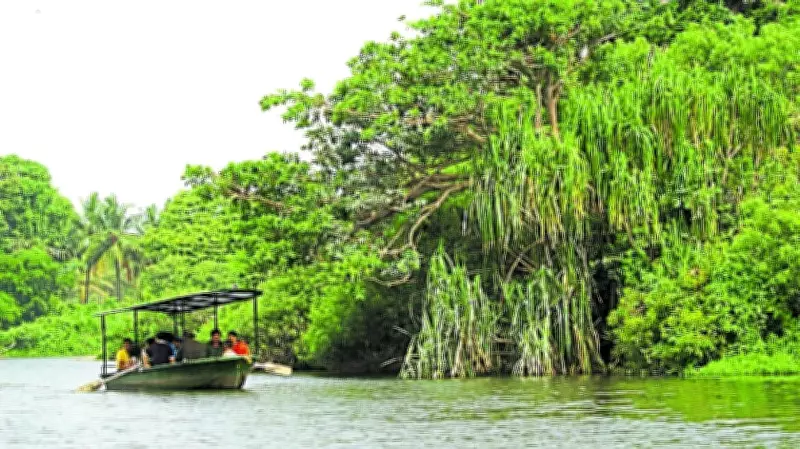 National Wildlife Board Approves Highway Through Ranganthittu Eco-Sensitive Zone