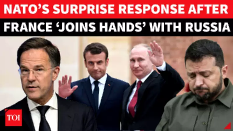 NATO Chief Responds to France's Russia Outreach, Stresses Alliance Unity