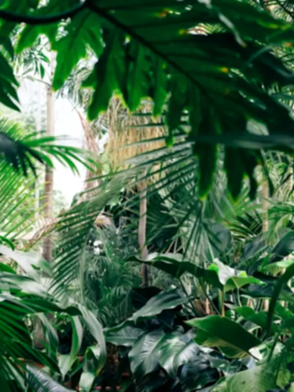 Nature's Oddities: From Corpse Flowers to Upside-Down Trees