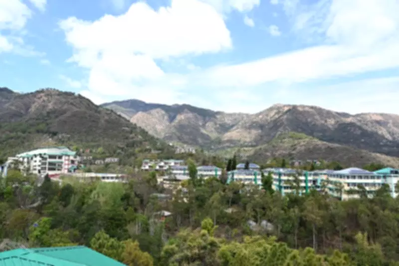 Nauni University Resumes Apple Foliage Disease Awareness Drive in Himachal