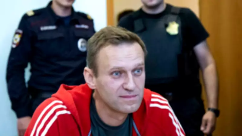 Navalny Poisoning: Lab-Made Toxin, Not Wild Frogs, Experts Conclude