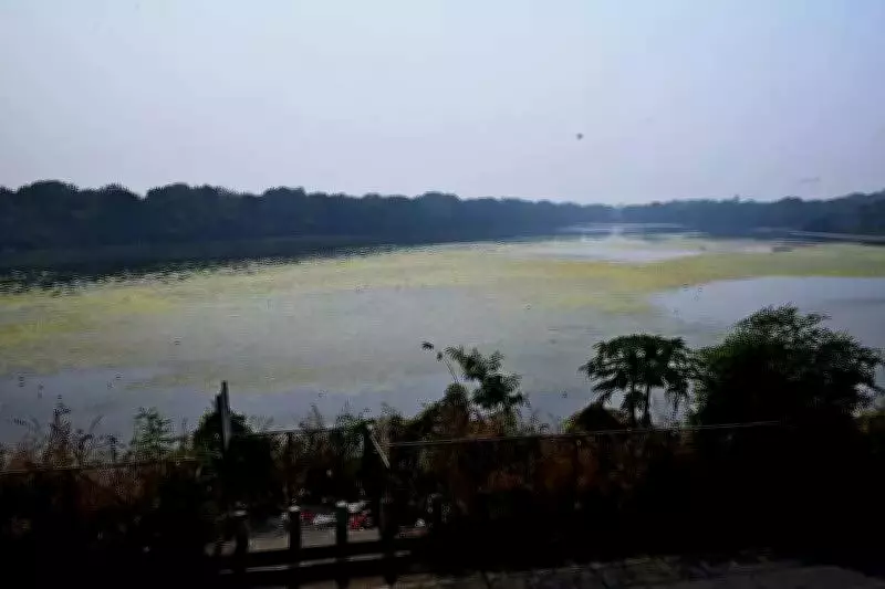 Navi Mumbai Airport Launch Sparks Ecological Concerns Over Bird Strike Risks