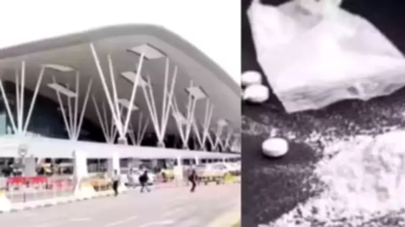 NCB Arrests Brazilian National at Bengaluru Airport with Rs 24 Crore Cocaine