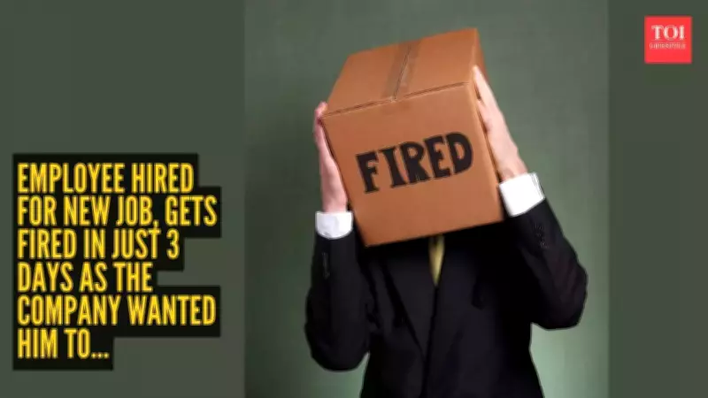 New Hire Fired After 3 Days for Sticking to Agreed 8-5 Work Hours