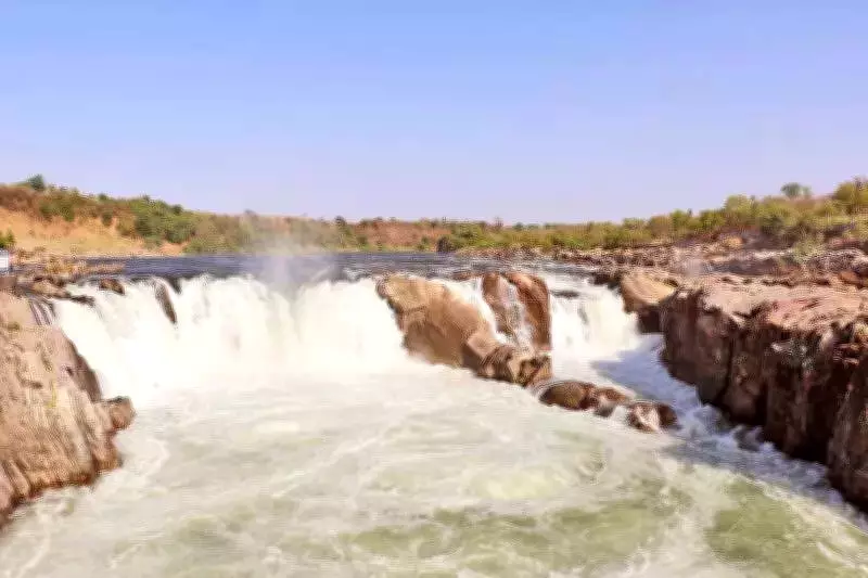 NGT Bhopal Bench Demands Compliance Report on Narmada River Cleanup Directives