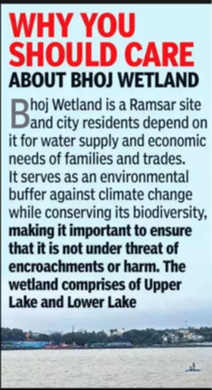 NGT Clarifies Mandate on Bhopal Lake Encroachments, Focuses on Wetland Protection