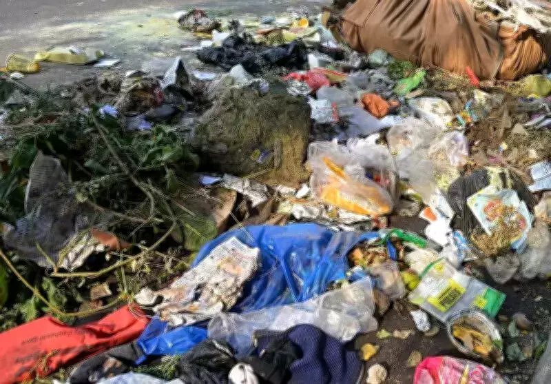 NGT Demands Clarification on Amritsar Waste Dumping Amid Conflicting Reports