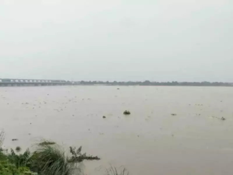 NGT Demands Urgent Action on Kanpur's Toxic Water Crisis, Orders State Report