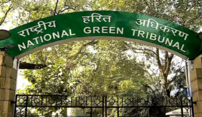 NGT Directs Restoration of Green Planter Areas in Delhi's Vasant Kunj