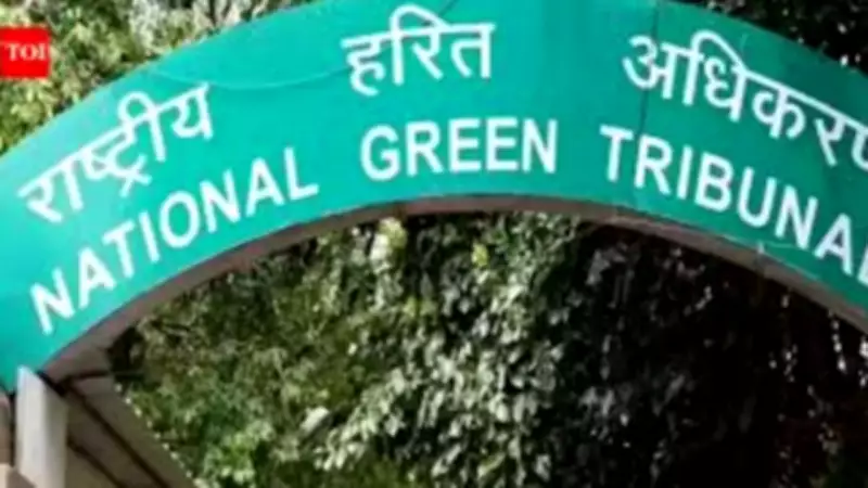 NGT East Zone Bench Issues Notice Over Illegal Soil Excavation in Odisha's Balangir