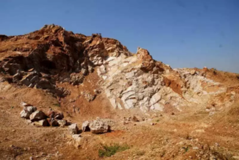 NGT Issues Notice on Mining Modification Plea Near Ranthambore National Park