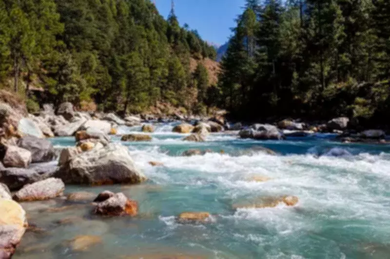 NGT Issues Notices Over Hydro Projects Threatening Kullu Village and Wildlife