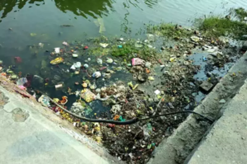 NGT Orders Nagpur Civic Body to Submit Sewage Plan for Futala Lake