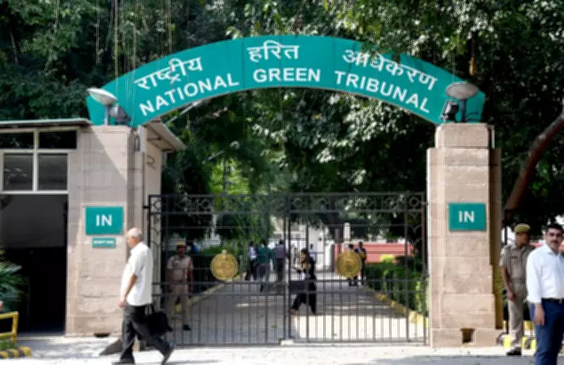 NGT Takes Cognisance of Unbarricaded Crater in Delhi, Seeks Action Report