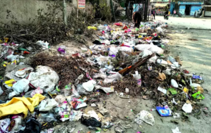 NGT Warns Haryana Officials of Prosecution Over Solid Waste Dumping Ban Violations