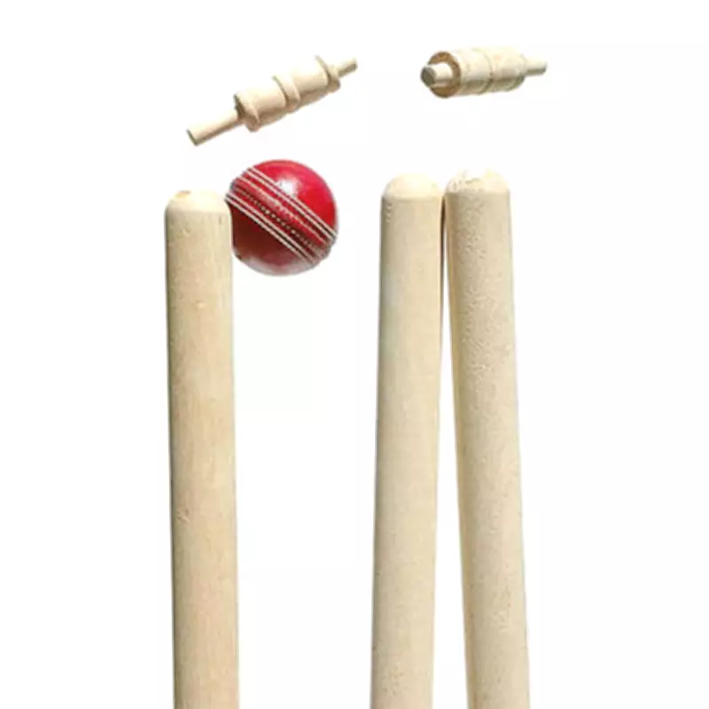 Nikhil's Century Powers Chandigarh University to Championship Victory