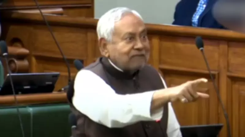 Nitish Kumar Loses Temper in Bihar Assembly Over 'Guns and Bullets' Protest