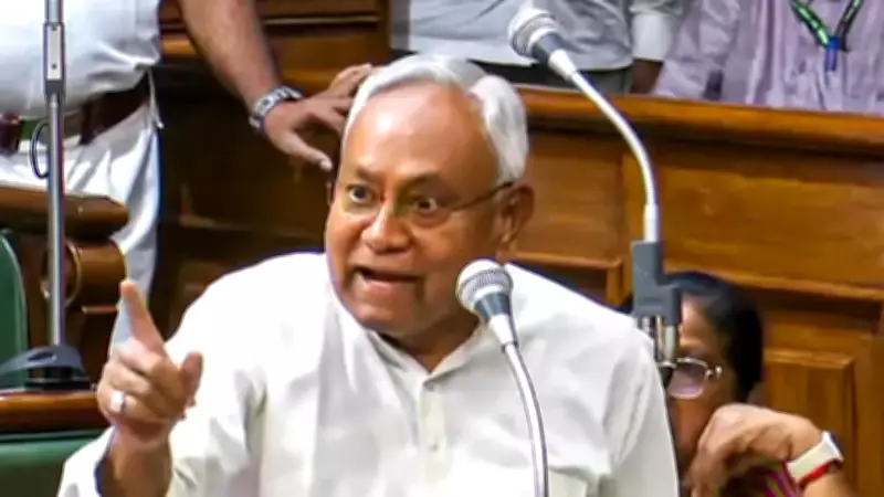 Nitish Kumar's Fiery Retort in Bihar Assembly Over 'Guns & Bullets' Taunt