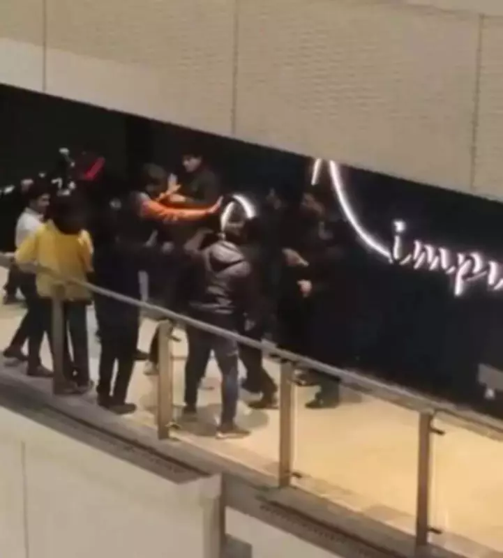 Noida Bar Brawl: 12 Arrested After Viral Video Shows Bouncers Assaulting Youths