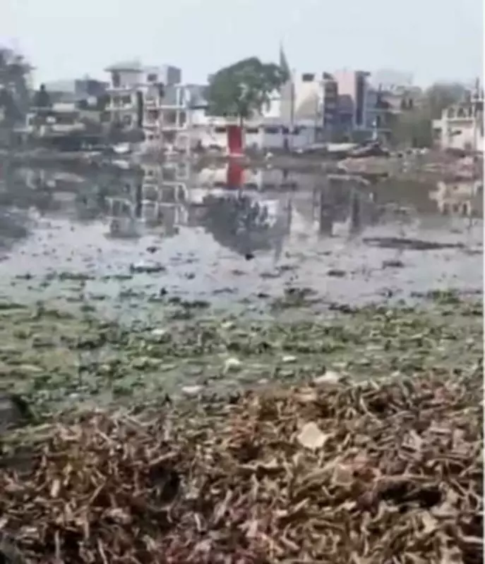 Noida Boy Found Dead in Pond After Missing for Days, Police Suspect Accidental Drowning