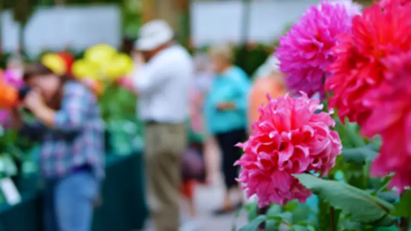 Noida Flower Festival 2026: A Celebration of Floriculture and Sustainability