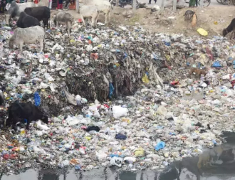 Noida's Dilapidated Bridge Poses Grave Risk to Daily Commuters