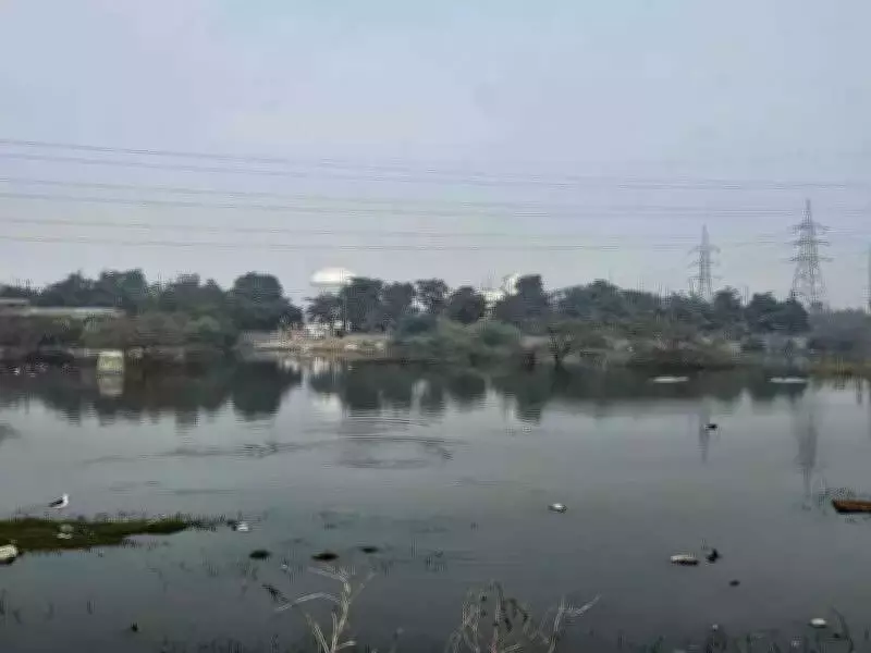 Noida's Sewer-Filled Vacant Plot Poses Severe Health and Safety Hazard