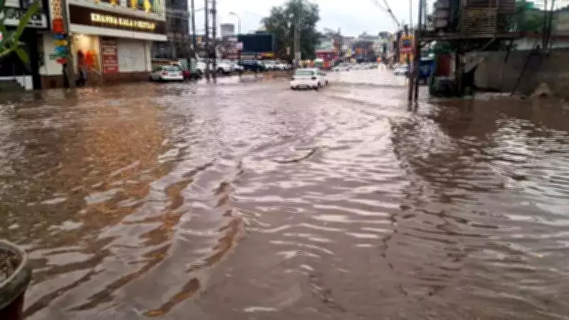 Northwest India Defies Rainfall Forecasts: Punjab, Haryana, Himachal Record Excess January Precipitation