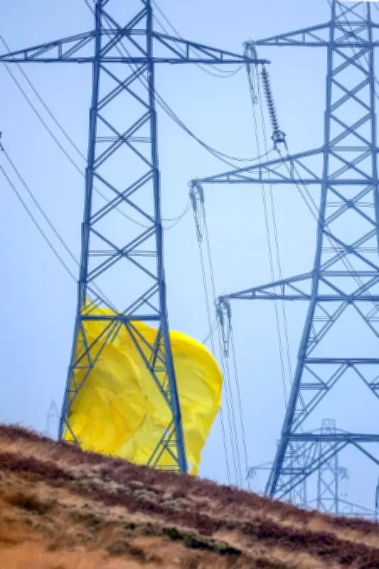 Odisha Discoms Collect Over Rs 500 Crore in Penalties from Electricity Consumers