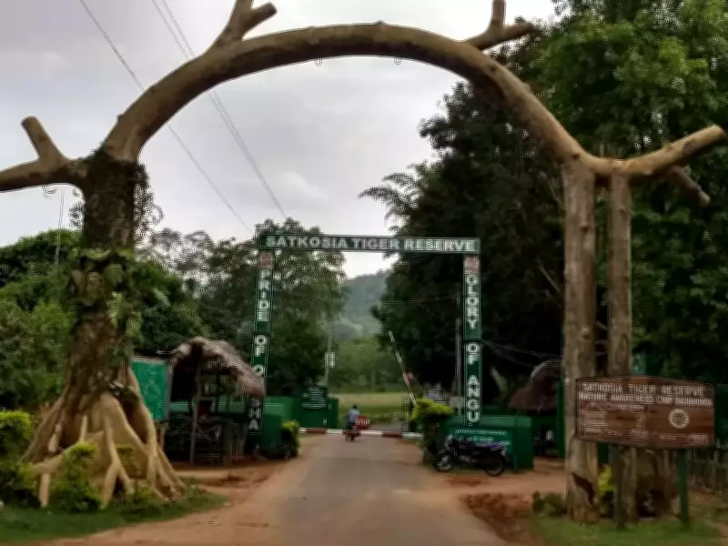 Odisha Rights Panel Demands High-Level Probe Into Satkosia Tiger Reserve Relocation
