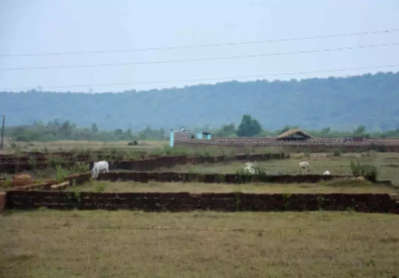 Odisha to Introduce QR Codes on Land Documents for Instant Verification