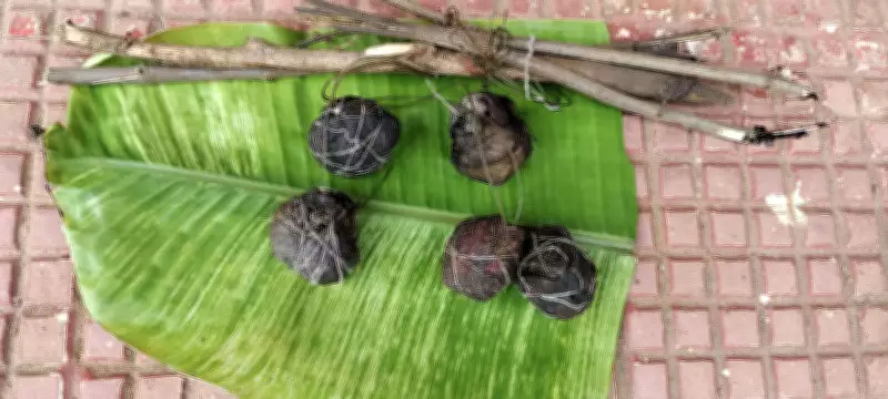 Odisha's Angul Forest Circle Launches 'Jibedaya' Drive, Seizes 50+ Bait Bombs