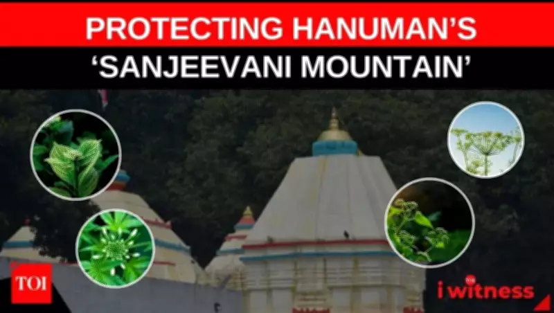 Odisha's Gandhamardan Hill: Balancing Ancient Herbal Pharmacy with Modern Conservation