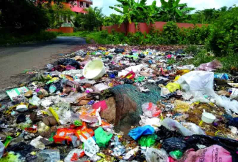 Only Six Goa Panchayats Have Approved Waste Recycling Facilities